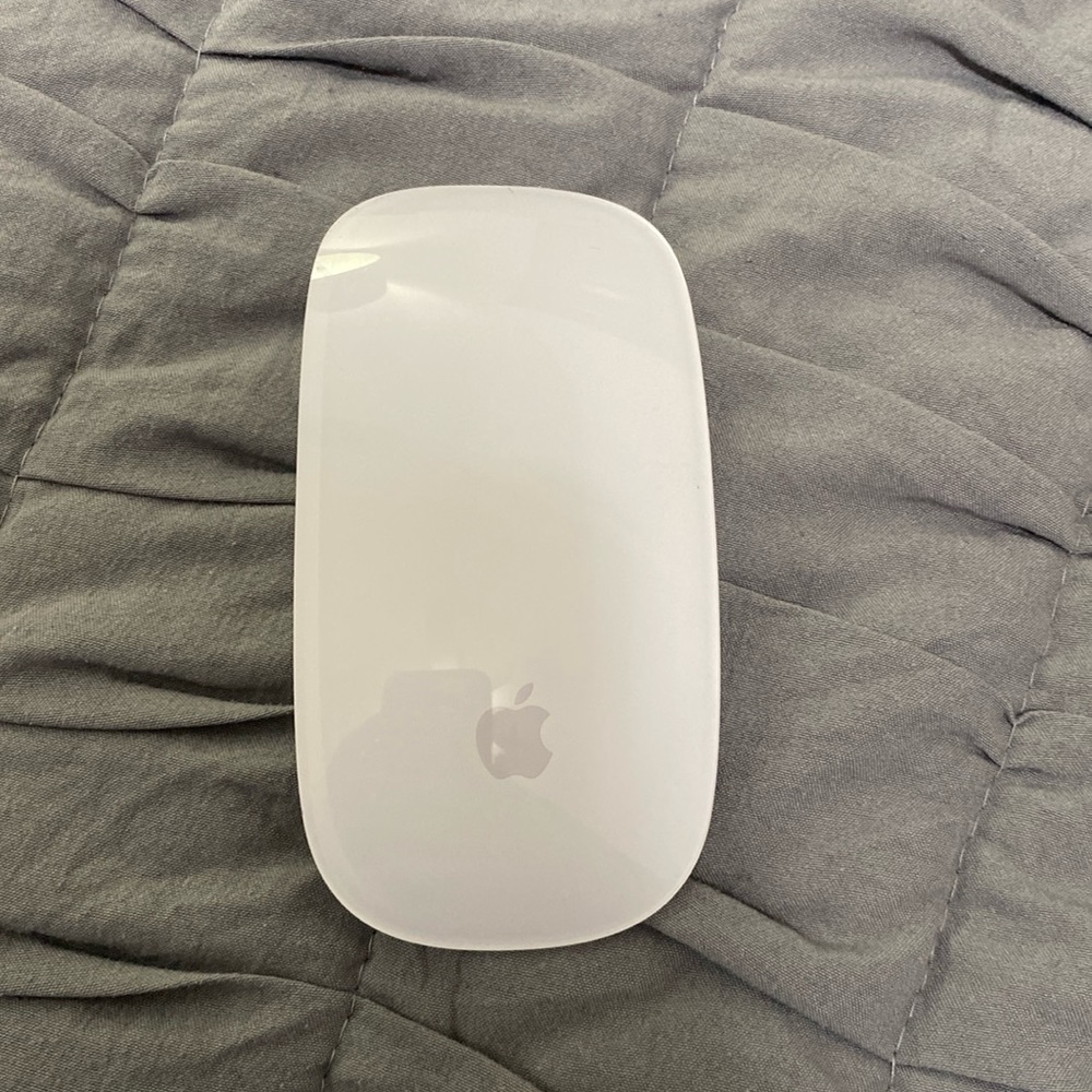 APPLE MAGIC MOUSE